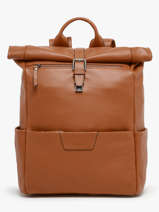 Sac à Dos Business Flandres 1 Compartiment Cuir Etrier Marron flandres EFLA8102